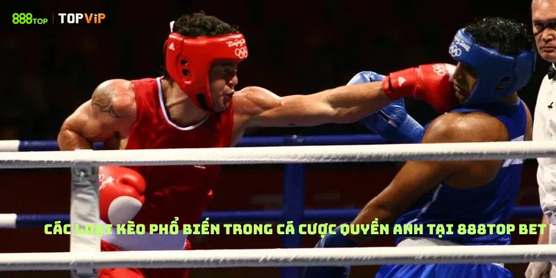 Các loại kèo phổ biến trong Cá Cược Quyền Anh Tại 888Top bet