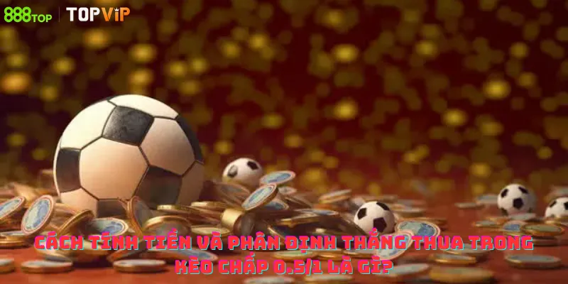 Cách tính tiền và phân định thắng thua trong kèo chấp 0.5/1 là gì