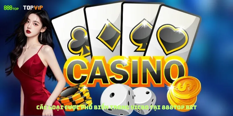 Các loại cược phổ biến trong Sicbo tại 888top bet
